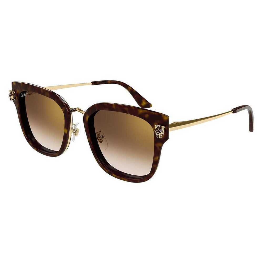 Cartier CT0509SA-002 Sunglasses Havana Acetate Square